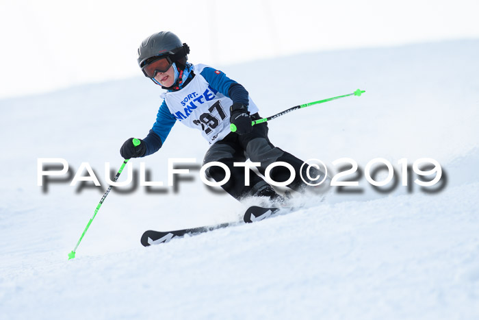 SVM U8, U10, U12, SechzgerPokal 2019