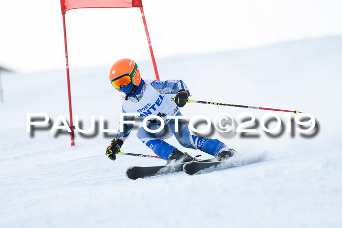 SVM U8, U10, U12, SechzgerPokal 2019