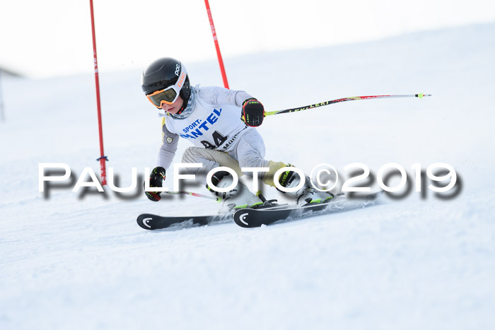 SVM U8, U10, U12, SechzgerPokal 2019