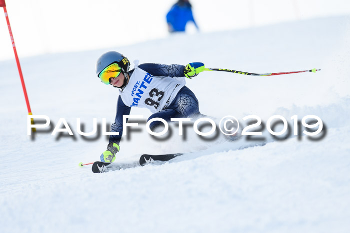 SVM U8, U10, U12, SechzgerPokal 2019