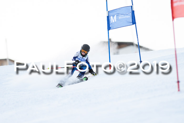 SVM U8, U10, U12, SechzgerPokal 2019