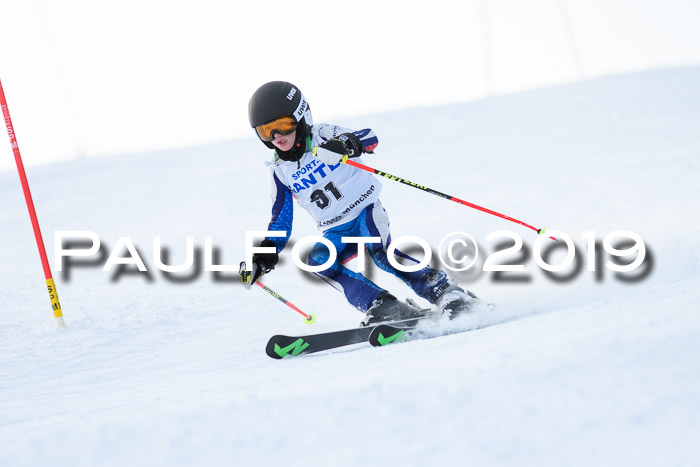 SVM U8, U10, U12, SechzgerPokal 2019