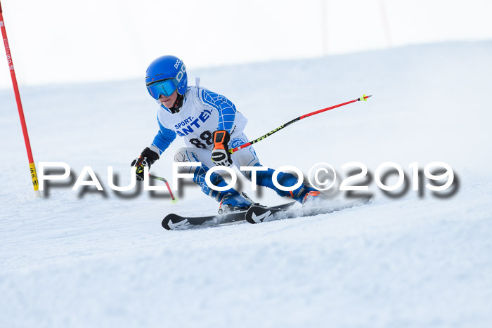 SVM U8, U10, U12, SechzgerPokal 2019