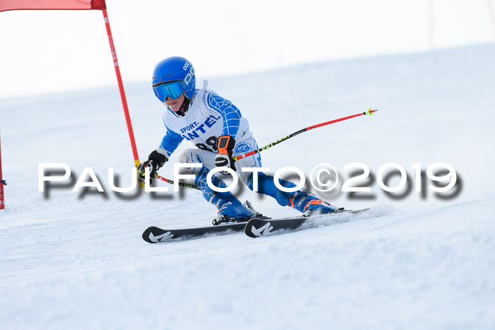 SVM U8, U10, U12, SechzgerPokal 2019