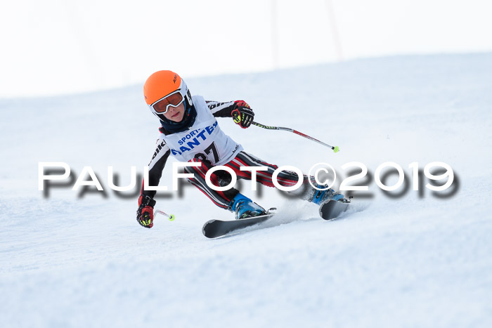 SVM U8, U10, U12, SechzgerPokal 2019