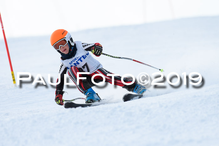 SVM U8, U10, U12, SechzgerPokal 2019