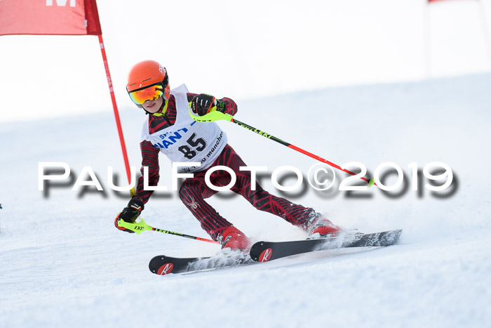 SVM U8, U10, U12, SechzgerPokal 2019