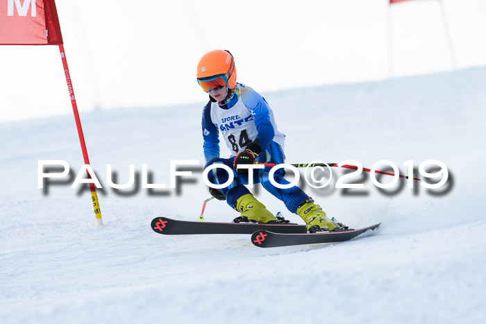 SVM U8, U10, U12, SechzgerPokal 2019