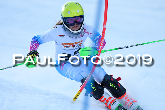 DSV Dt. Schülercup U14 SL 20.01.2019 Slalom