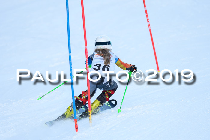 DSV Dt. Schülercup U14 SL 20.01.2019 Slalom