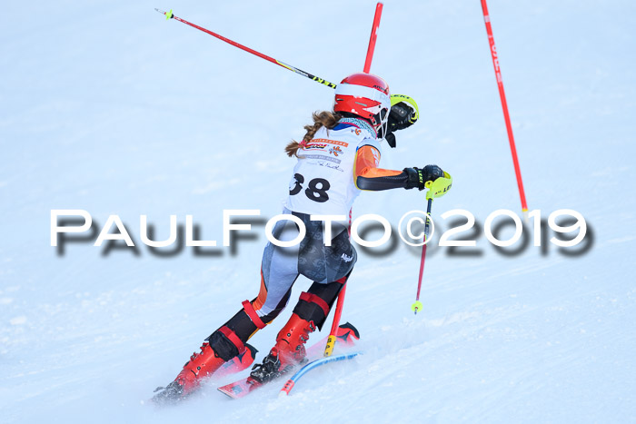 DSV Dt. Schülercup U14 SL 20.01.2019 Slalom