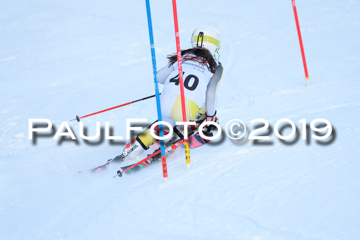 DSV Dt. Schülercup U14 SL 20.01.2019 Slalom