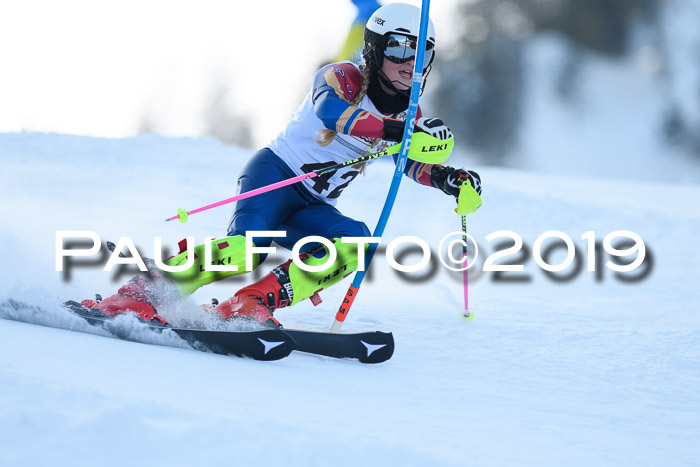 DSV Dt. Schülercup U14 SL 20.01.2019 Slalom