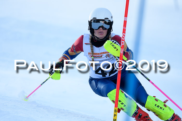 DSV Dt. Schülercup U14 SL 20.01.2019 Slalom