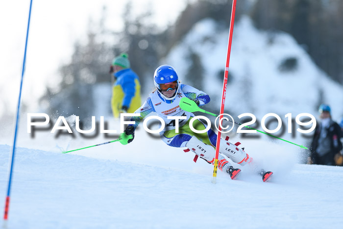 DSV Dt. Schülercup U14 SL 20.01.2019 Slalom