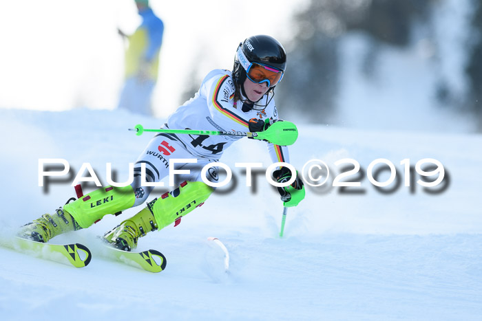 DSV Dt. Schülercup U14 SL 20.01.2019 Slalom