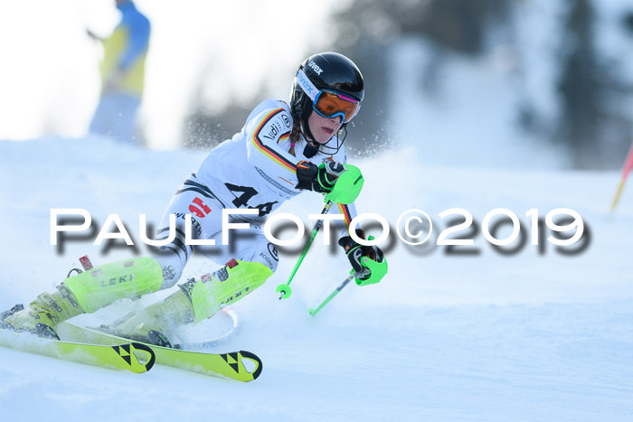 DSV Dt. Schülercup U14 SL 20.01.2019 Slalom