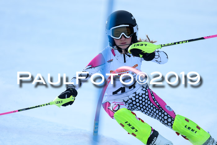 DSV Dt. Schülercup U14 SL 20.01.2019 Slalom