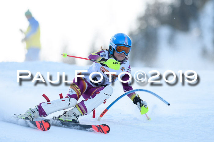 DSV Dt. Schülercup U14 SL 20.01.2019 Slalom