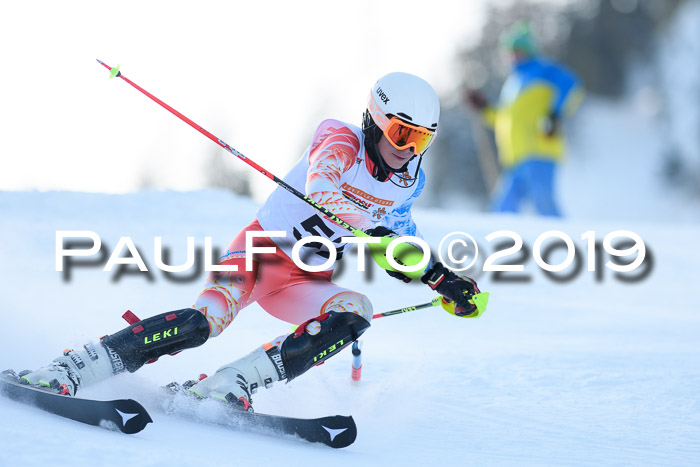 DSV Dt. Schülercup U14 SL 20.01.2019 Slalom