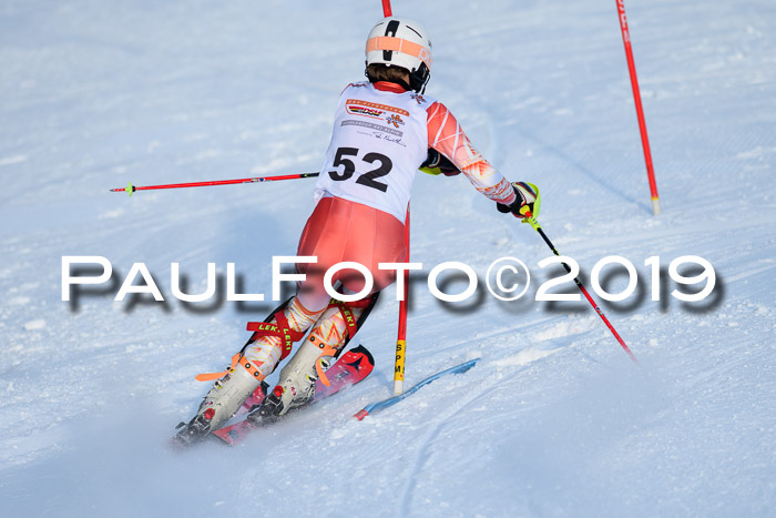 DSV Dt. Schülercup U14 SL 20.01.2019 Slalom