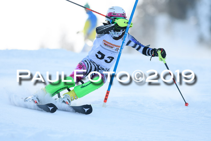 DSV Dt. Schülercup U14 SL 20.01.2019 Slalom