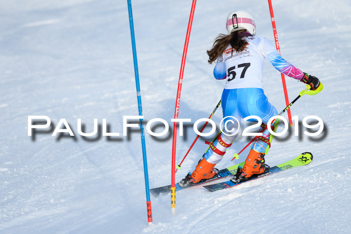 DSV Dt. Schülercup U14 SL 20.01.2019 Slalom