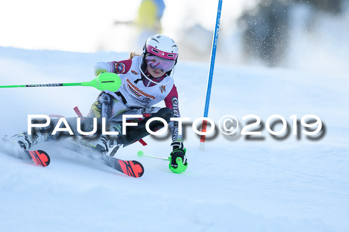 DSV Dt. Schülercup U14 SL 20.01.2019 Slalom