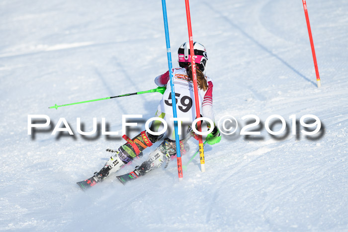 DSV Dt. Schülercup U14 SL 20.01.2019 Slalom