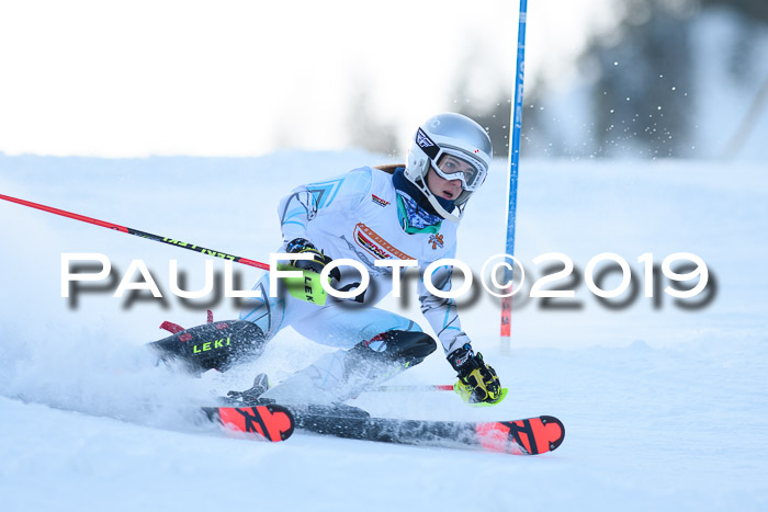 DSV Dt. Schülercup U14 SL 20.01.2019 Slalom