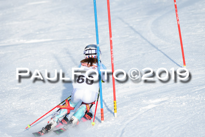 DSV Dt. Schülercup U14 SL 20.01.2019 Slalom