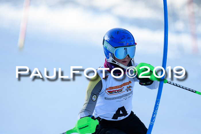 DSV Dt. Schülercup U14 SL 20.01.2019 Slalom