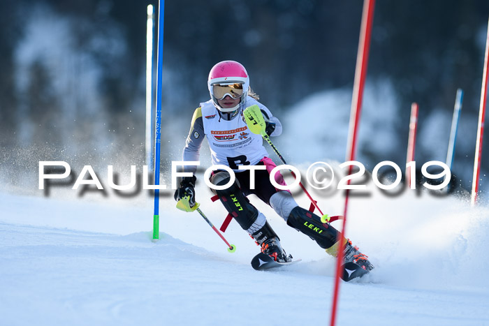 DSV Dt. Schülercup U14 SL 20.01.2019 Slalom