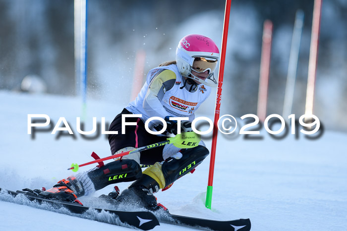 DSV Dt. Schülercup U14 SL 20.01.2019 Slalom