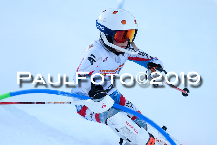 DSV Dt. Schülercup U14 SL 20.01.2019 Slalom