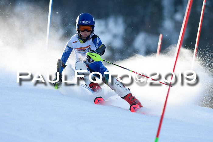 DSV Dt. Schülercup U14 SL 20.01.2019 Slalom