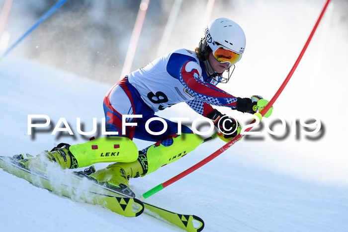 DSV Dt. Schülercup U14 SL 20.01.2019 Slalom