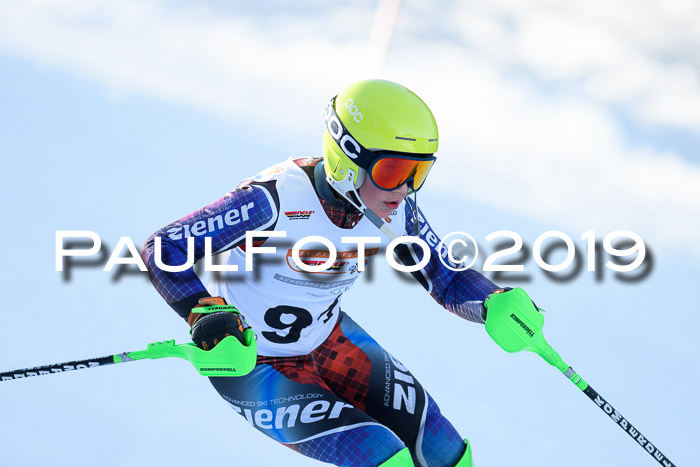 DSV Dt. Schülercup U14 SL 20.01.2019 Slalom