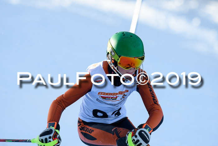 DSV Dt. Schülercup U14 SL 20.01.2019 Slalom