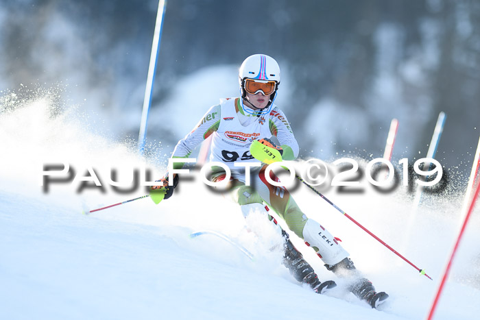 DSV Dt. Schülercup U14 SL 20.01.2019 Slalom