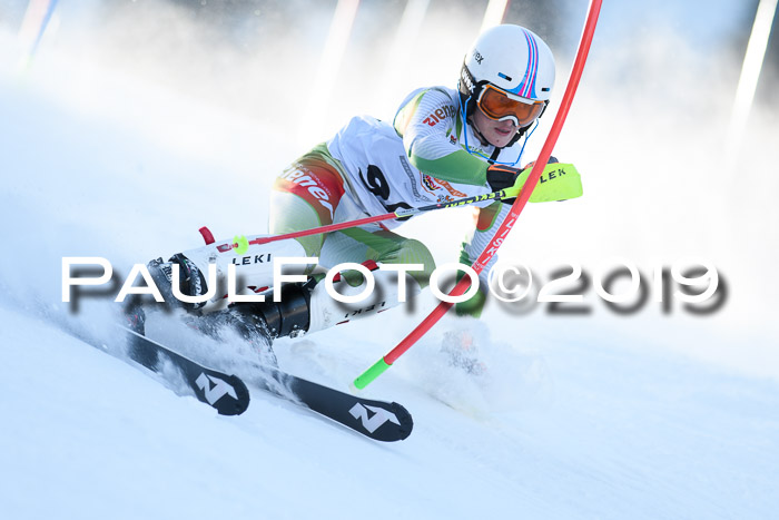 DSV Dt. Schülercup U14 SL 20.01.2019 Slalom