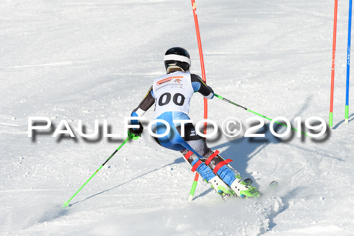 DSV Dt. Schülercup U14 SL 20.01.2019 Slalom