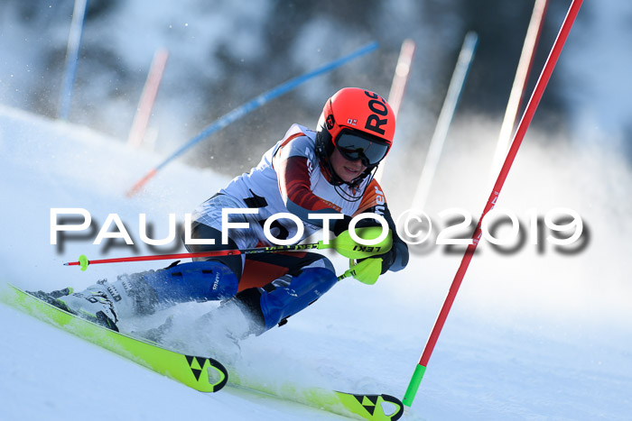 DSV Dt. Schülercup U14 SL 20.01.2019 Slalom