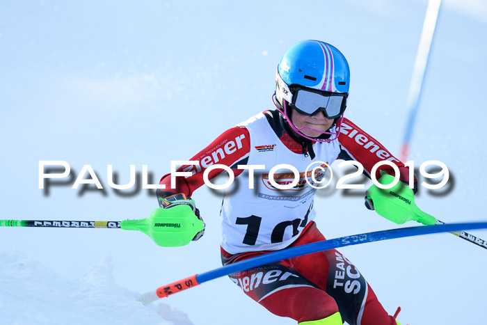 DSV Dt. Schülercup U14 SL 20.01.2019 Slalom