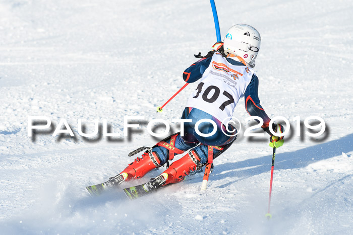 DSV Dt. Schülercup U14 SL 20.01.2019 Slalom