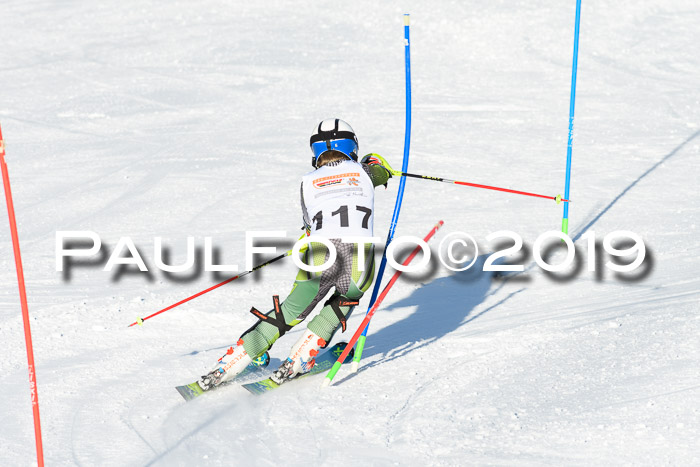 DSV Dt. Schülercup U14 SL 20.01.2019 Slalom