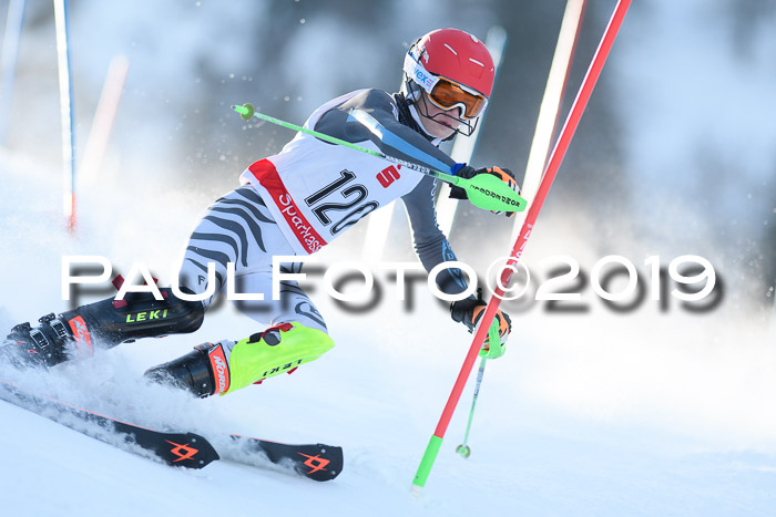 DSV Dt. Schülercup U14 SL 20.01.2019 Slalom