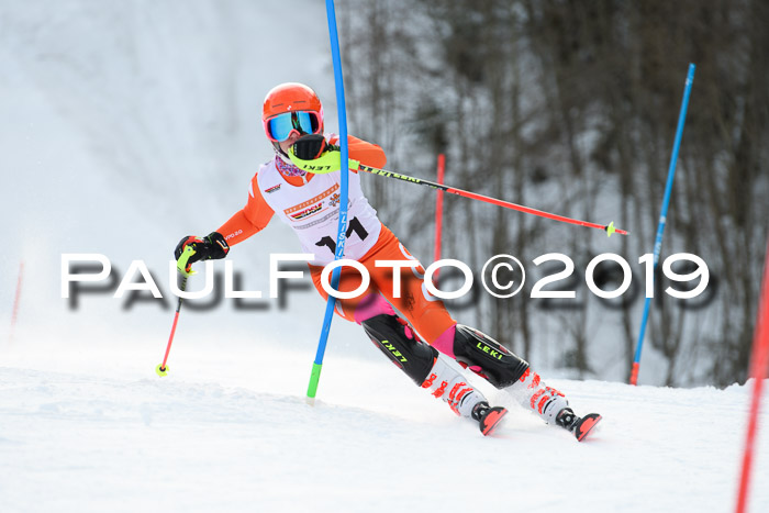 DSV Dt. Schülercup U14 SL 20.01.2019 Slalom