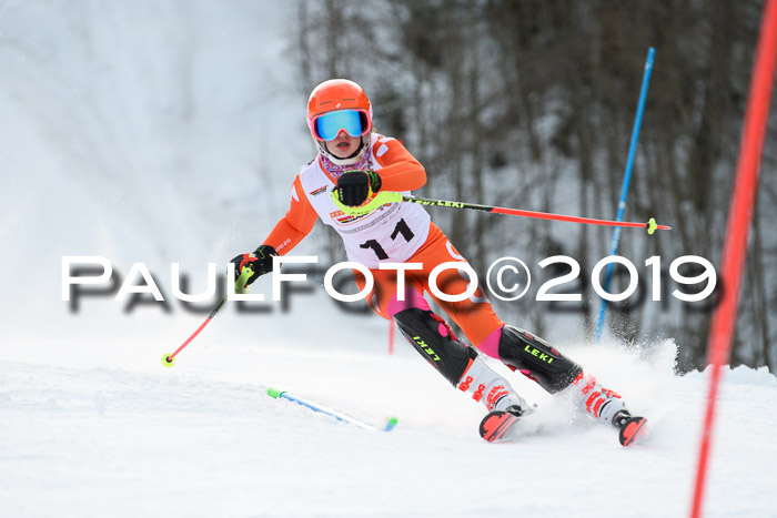 DSV Dt. Schülercup U14 SL 20.01.2019 Slalom