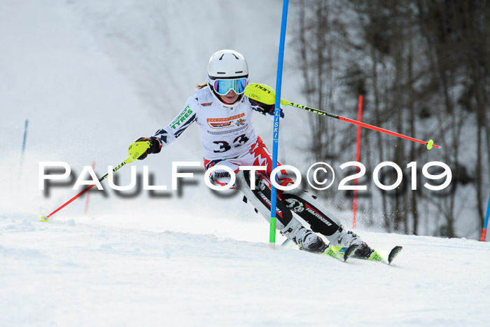 DSV Dt. Schülercup U14 SL 20.01.2019 Slalom